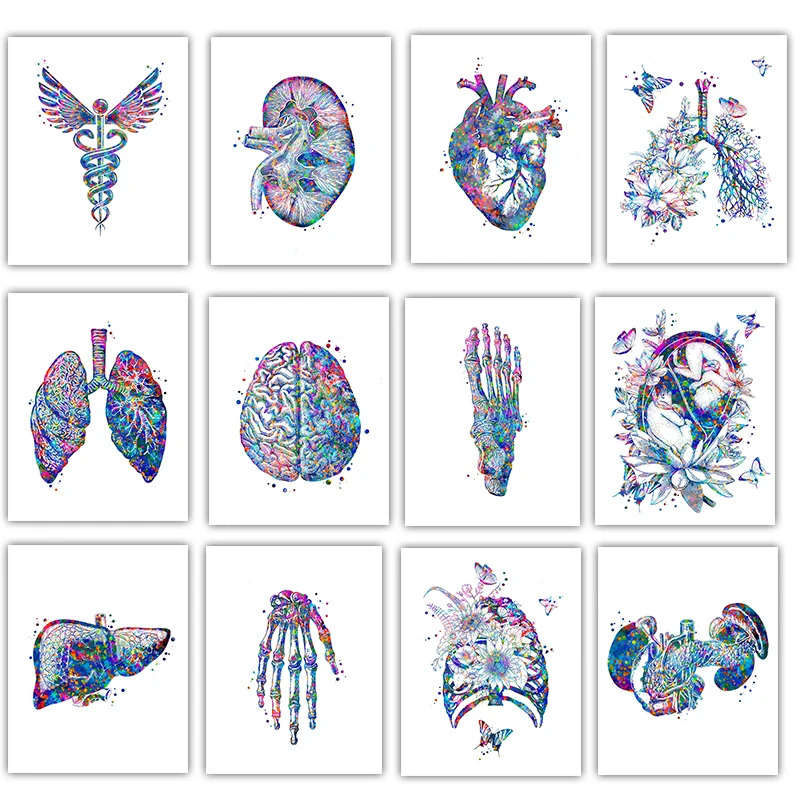 Medical Lab Pictures - 解剖学の医療ポスター,実験室,花のオルガン,壁の芸術,キャンバスの絵画,アナーキー教育画像,医師の部屋の装飾