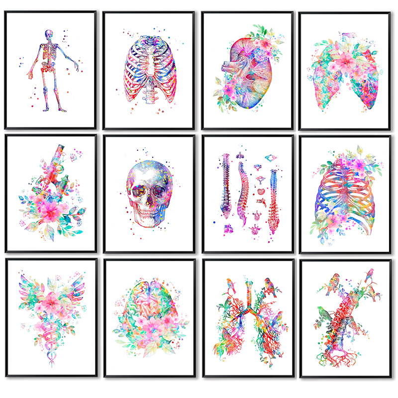 Medical Lab Pictures - 解剖学医療ポスター花器官ウォールアートキャンバス絵画人類学教育絵画研究室医師の部屋の装飾用