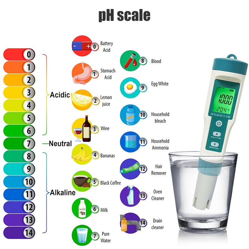 WESTTUNE デジタル PH メーター 7 In 1 P - Ph Meter のレビューと価格